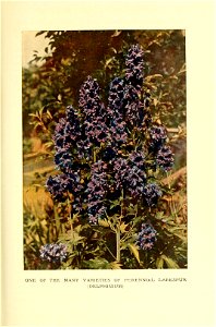 n256_w1150
