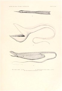 n154_w1150