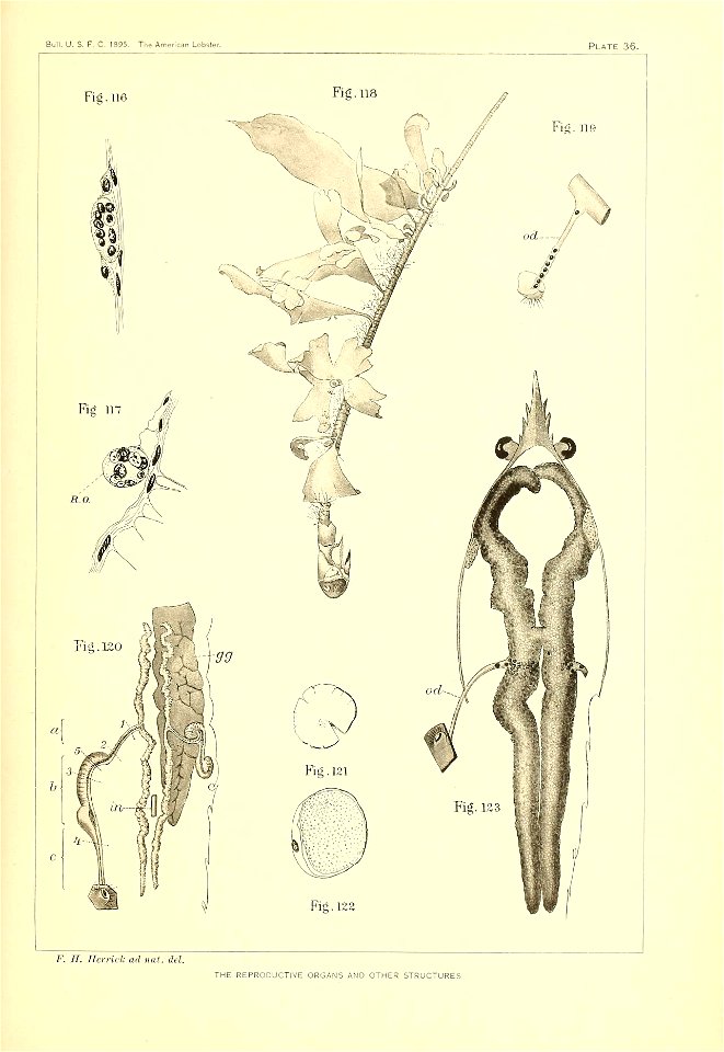 n358_w1150
