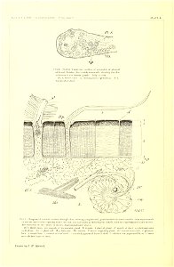 n87_w1150