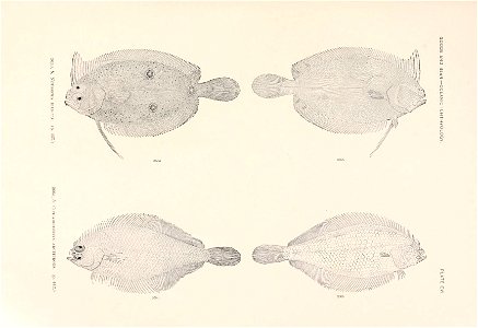 n270_w1150
