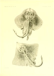 n108_w1150