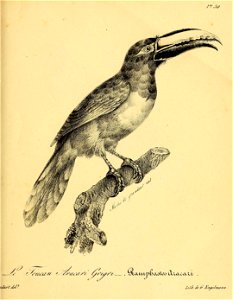 n582_w1150