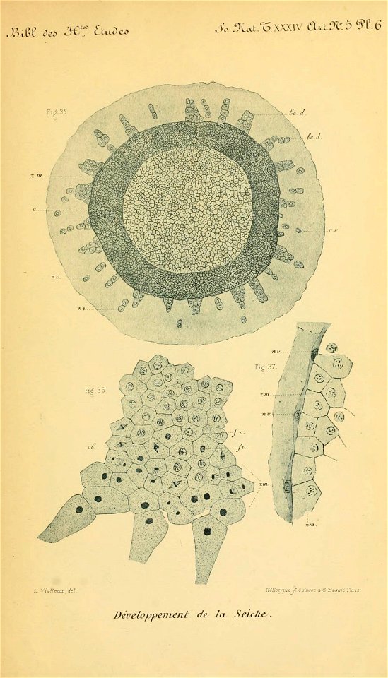 n134_w1150