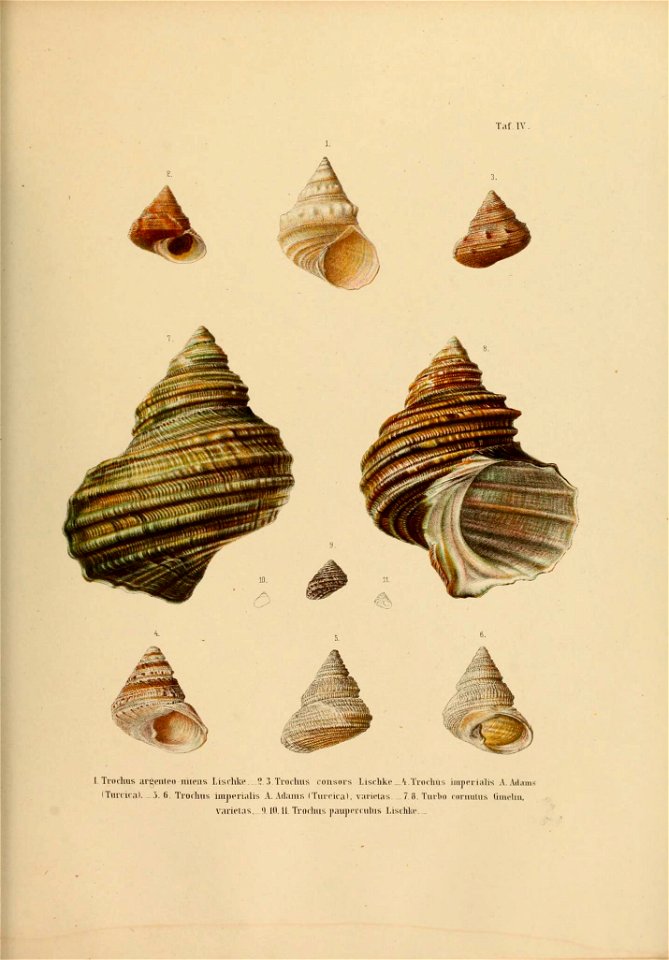 n354_w1150