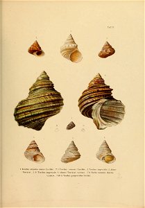 n354_w1150