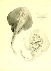 n284_w1150