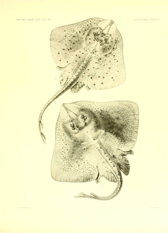 n104_w1150
