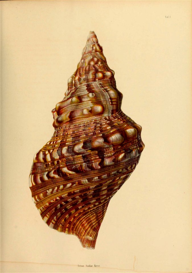 n194_w1150