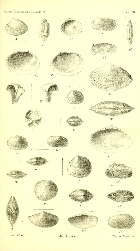 n728_w1150