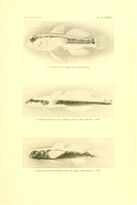 n302_w1150