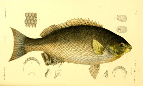 n177_w1150