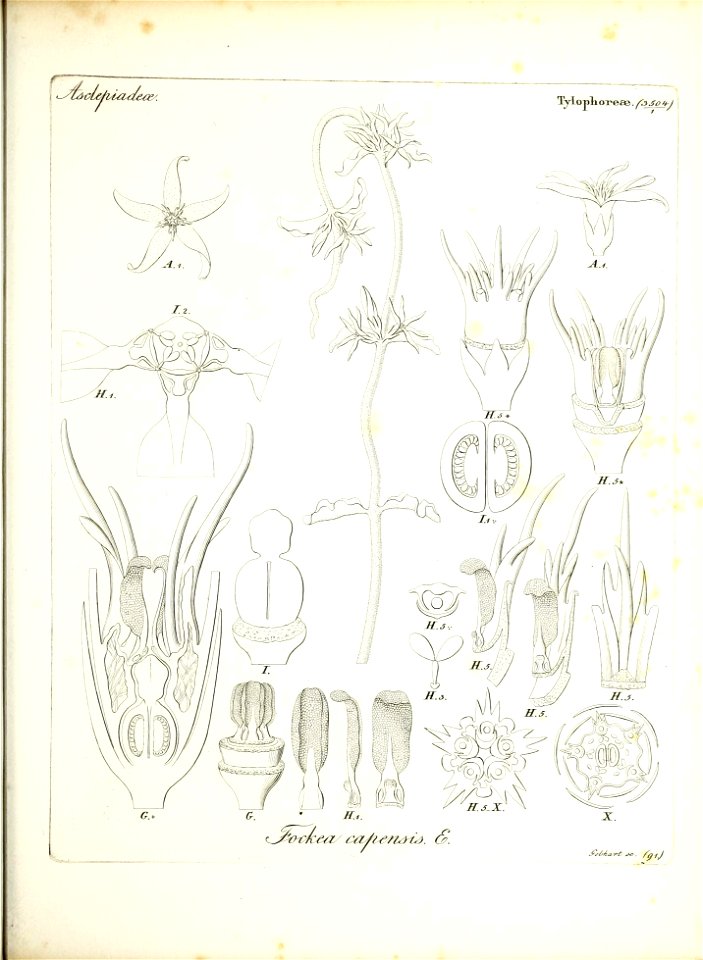 n192_w1150