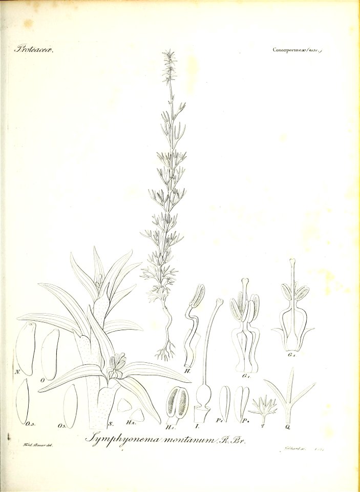 n42_w1150