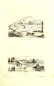 n516_w1150