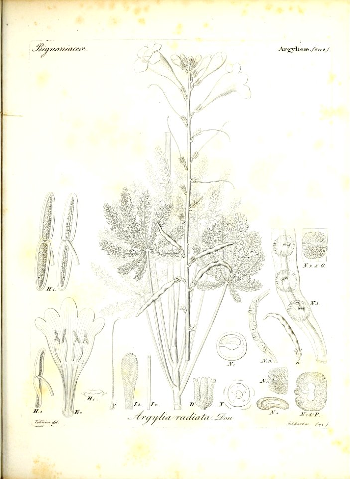 n160_w1150