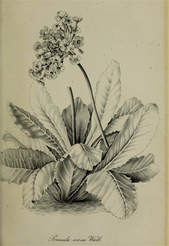 n416_w1150
