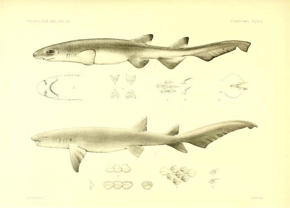 n46_w1150