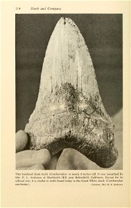 n231_w1150