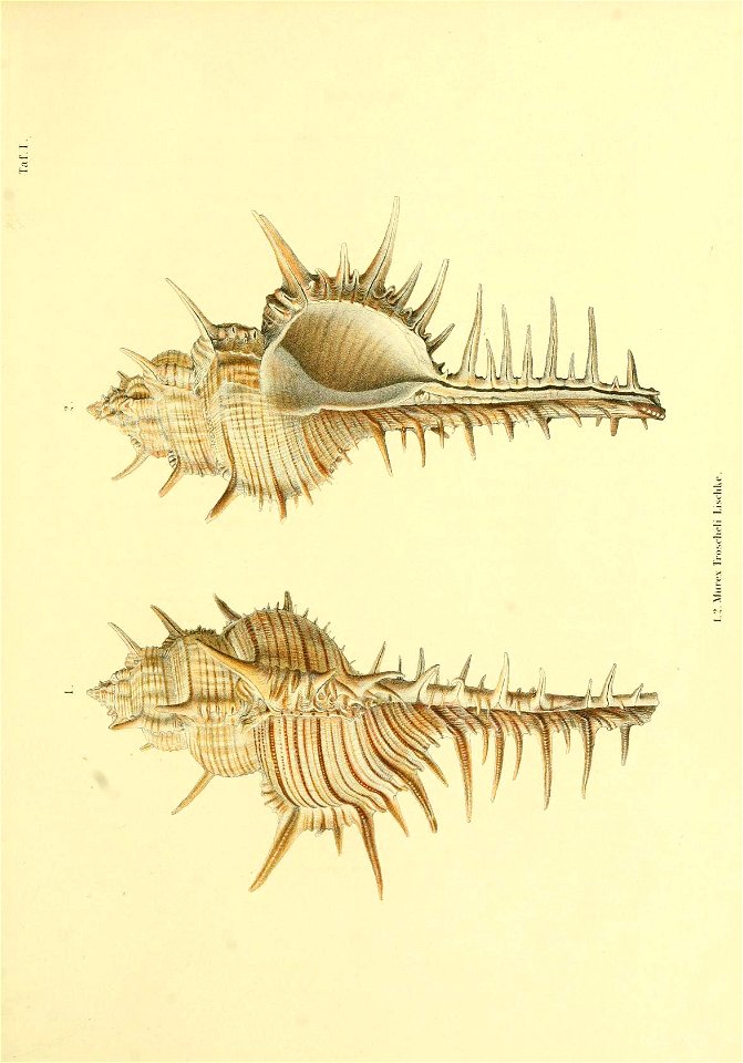 n202_w1150