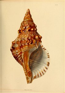 n196_w1150