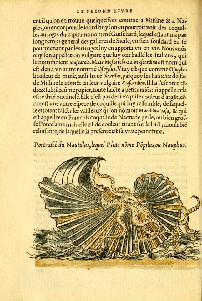 n109_w1150