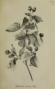 n398_w1150