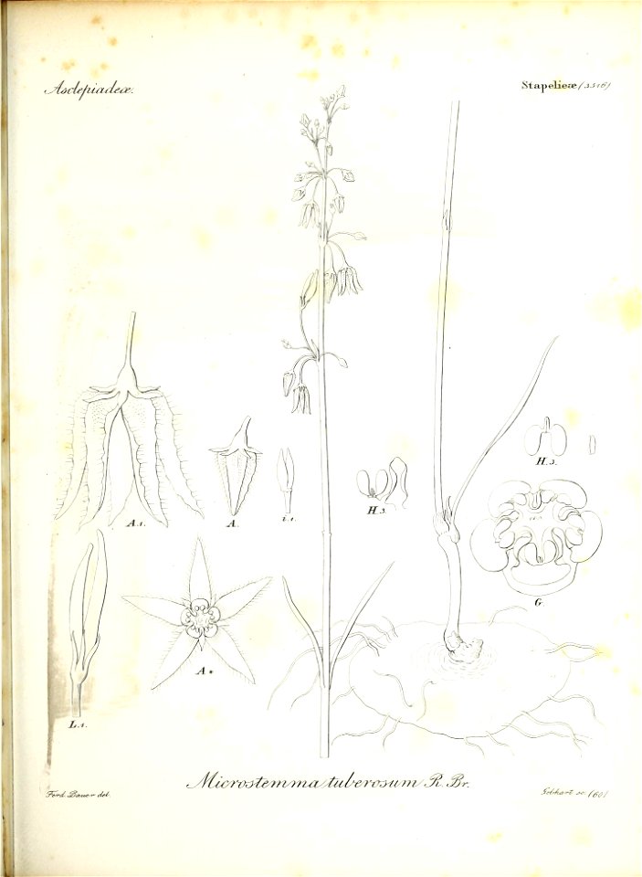 n138_w1150
