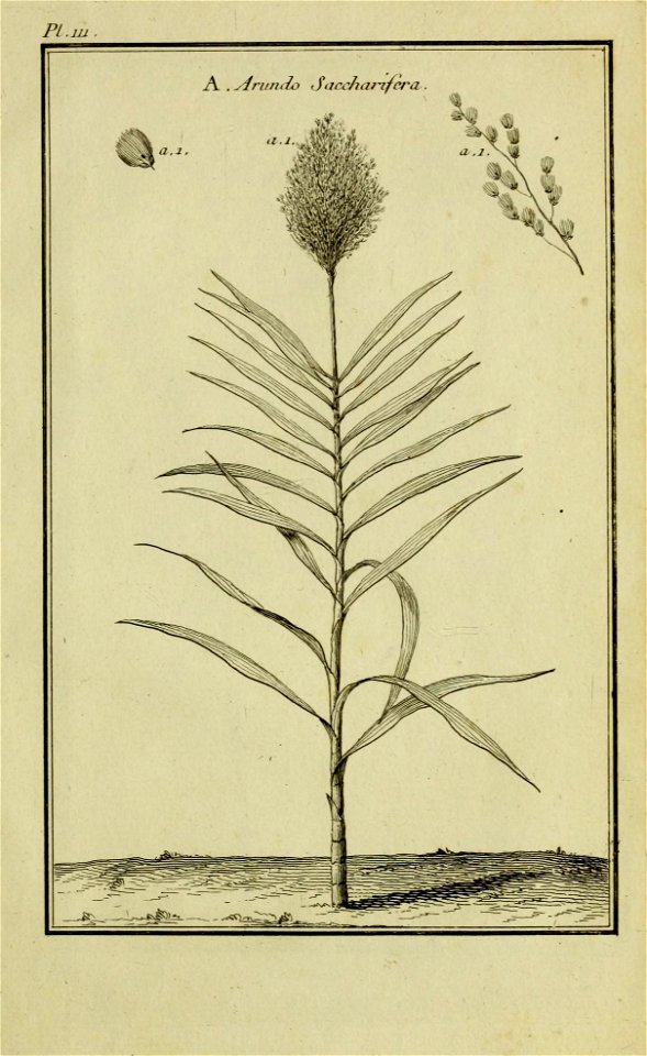 n338_w1150