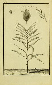 n338_w1150