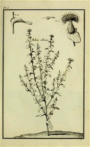 n128_w1150