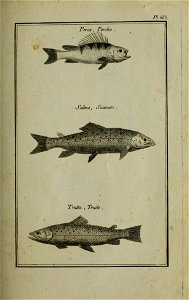 n154_w1150