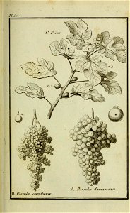 n216_w1150