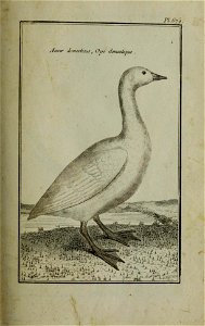n182_w1150