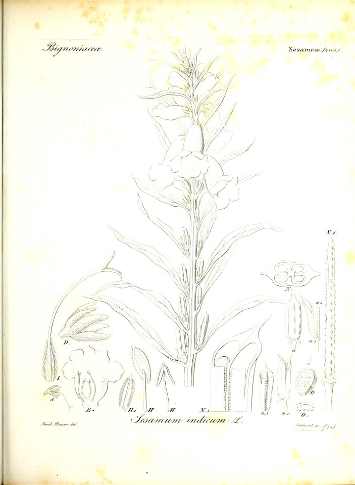 n158_w1150