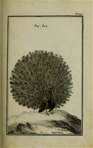 n210_w1150