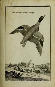 n180_w1150