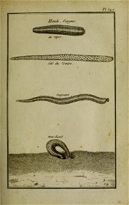 n118_w1150