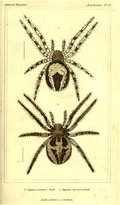 n352_w1150