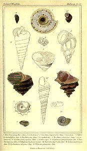 n52_w1150