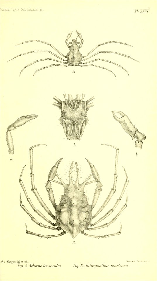 n820_w1150