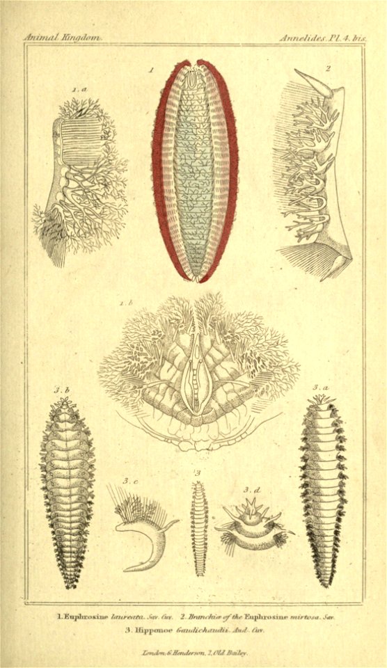 n170_w1150