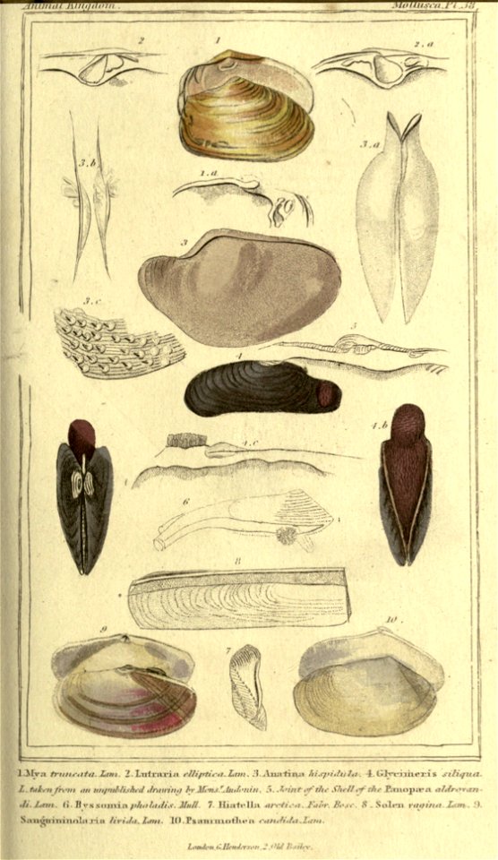 n140_w1150