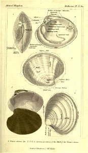 n138_w1150