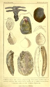 n108_w1150