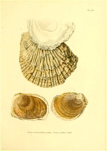 n228_w1150