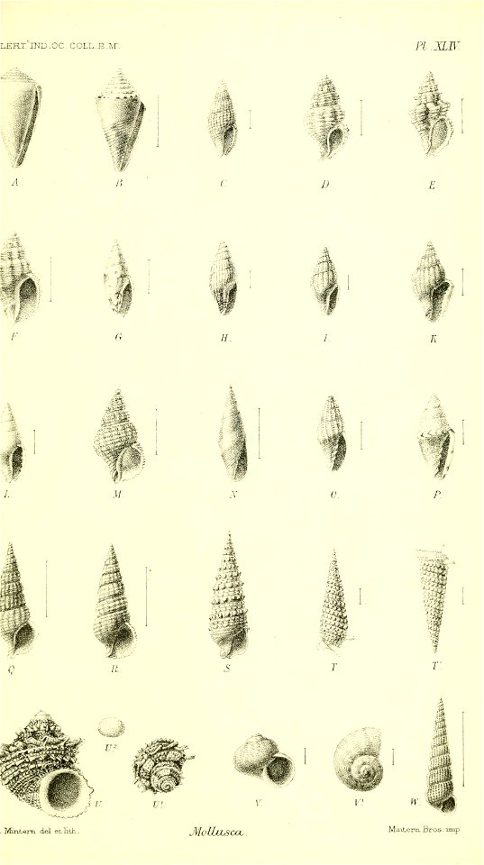 n816_w1150