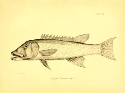 n200_w1150