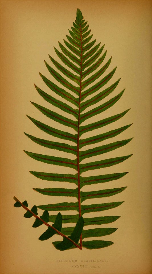 n183_w1150