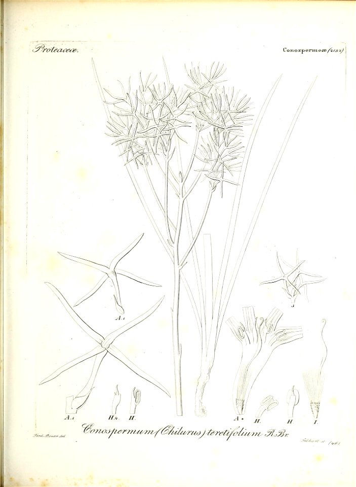 n110_w1150